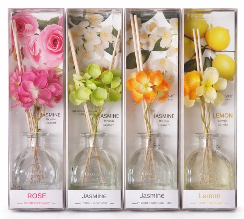 Mini Reed Diffuser Set