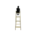 #57 man sitting on ladder /home decor