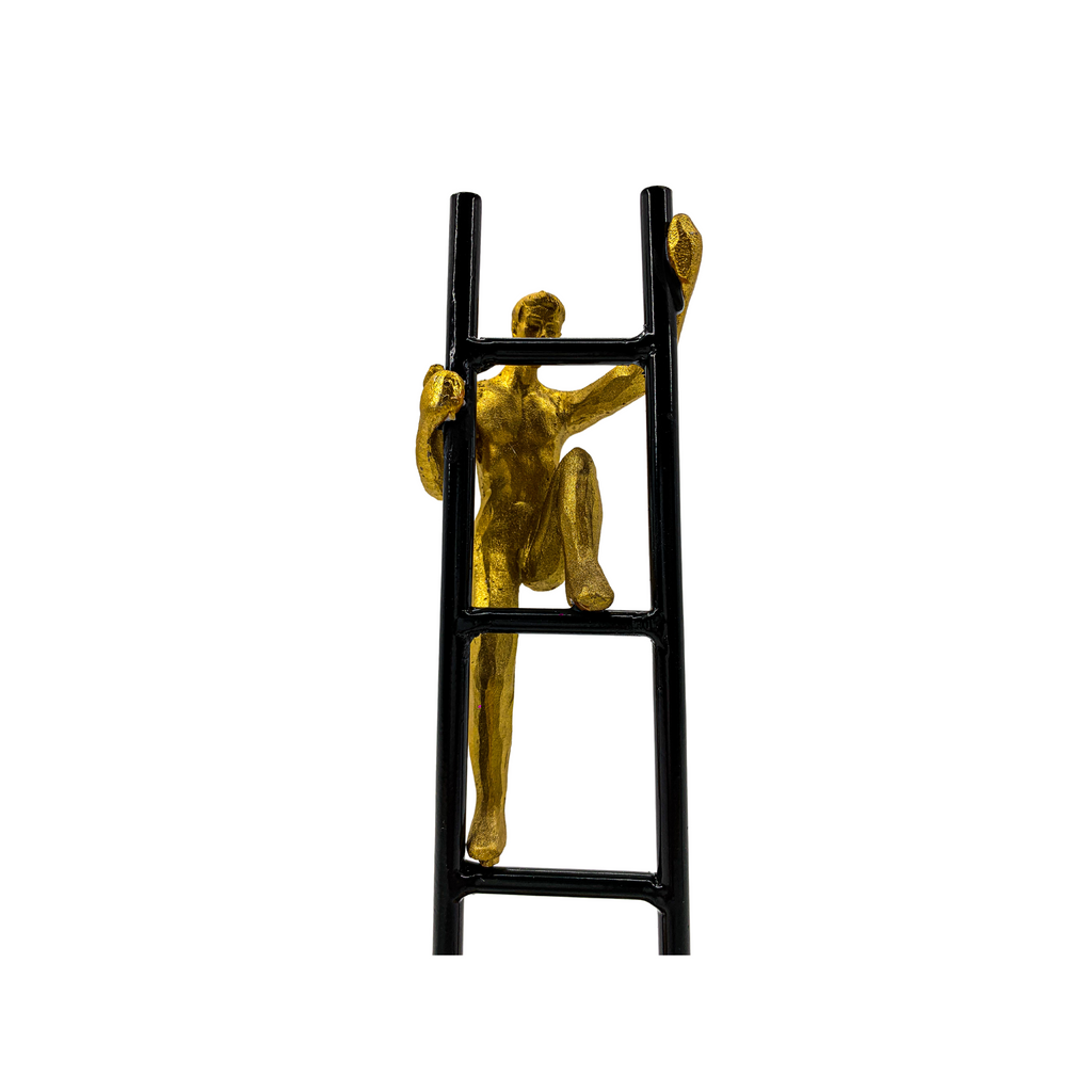 #60 MEN CLIMBING LADDER